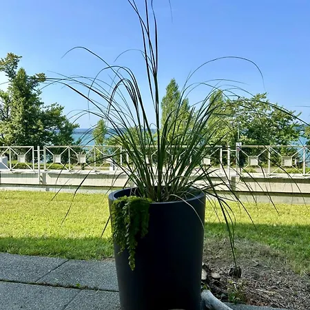 Apartmán Strandgut *