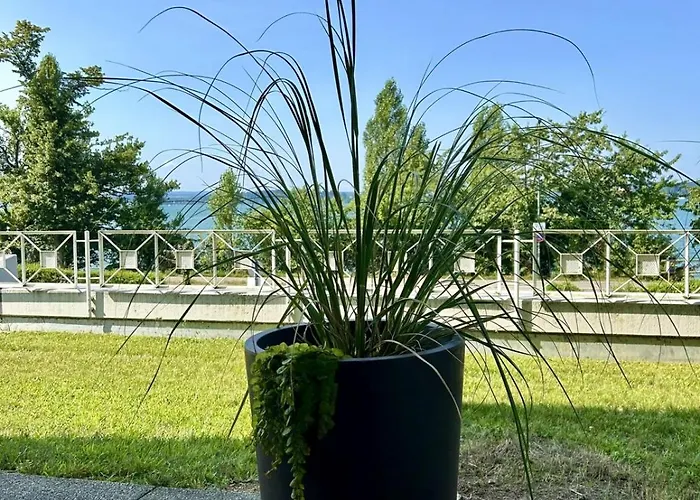 דירה Strandgut *